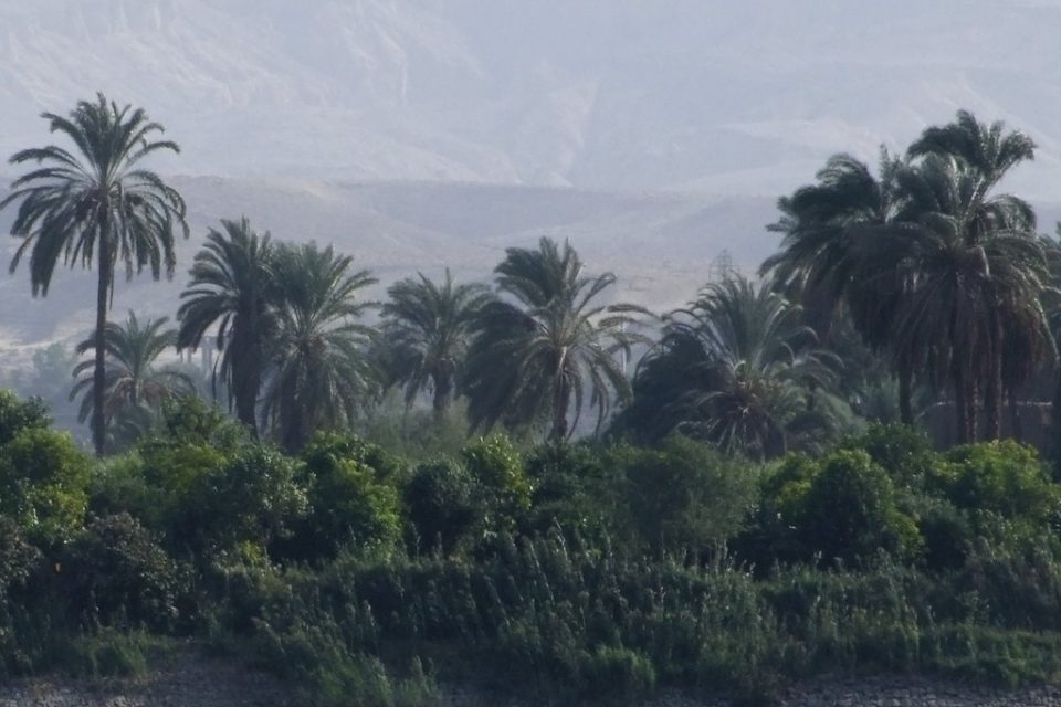 river Nile