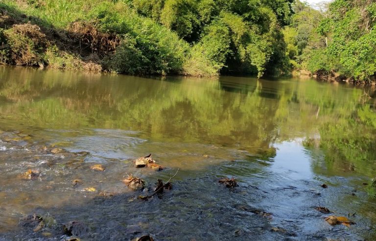 riffle river riffle river